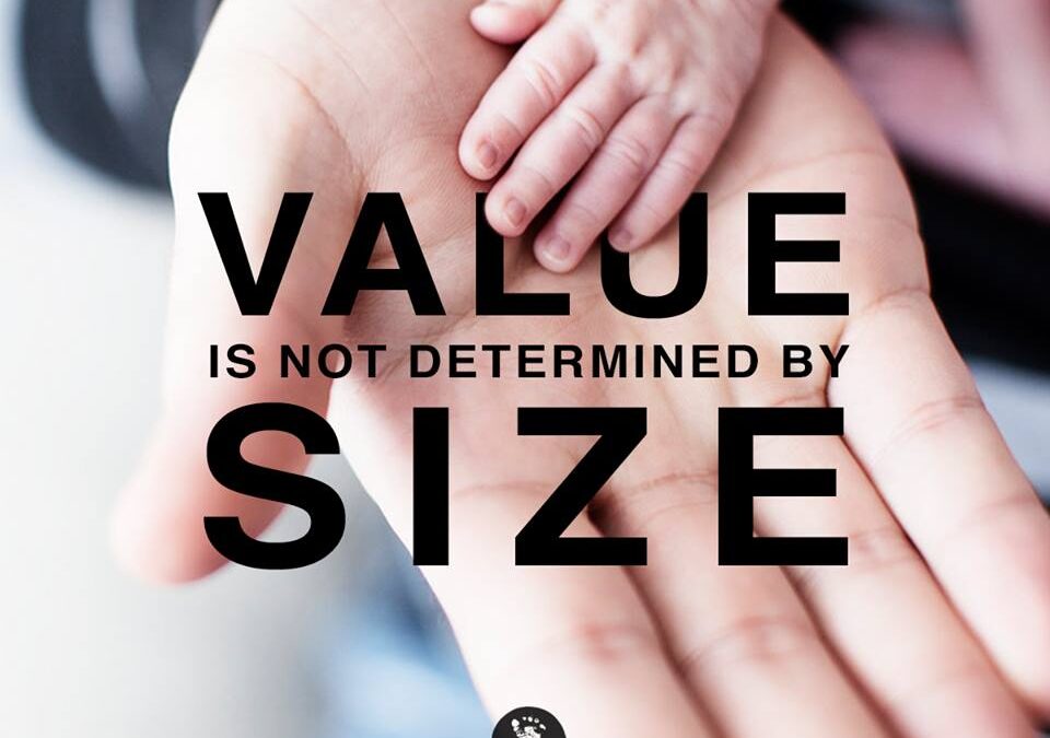 Value Is Not Determined by Size